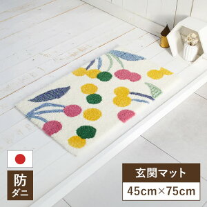 փ}bg X~mG ||}bg 45×75 45cm×75cm ~ߕt h_j {@ԕ X~mG fUCCt