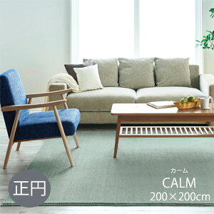 O J[ 200×200 ~ ~` 200cm×200cm h h_j X~mG Y { TCYH C[W[I[_[ zbgJ[ybgΉ iC h Vіяoɂ CALM y₩ _炩