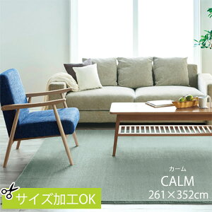 O J[ 261×352 261cm×352cm 6 6 h h_j X~mG Y { TCYH C[W[I[_[ zbgJ[ybgΉ iC h Vіяoɂ CALM y₩ _炩