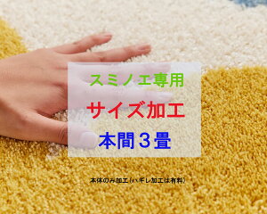 yX~mGTCYHzy{̉HnMH1500~Zz{3TCY 3 3 Ώۏi:z[AX E[tbg