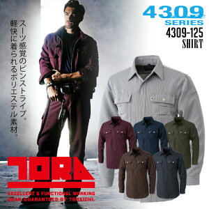 Ј gC` Vc 4309V[Y 4309-125 ƕ ƒ sXgCv