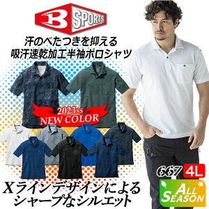 �y8/1���聚P5�{���N�[�|���z�z�z�o�[�g�� �|���V���c ���� �����Y 667 �z������ ���L�e�[�v�t�� �h���C���̎q �����|���V���c �h���C���b�V�� �j�����p �X�|�[�c BURTLE �X�g���b�` �����Y ��