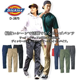 【6h限定5%クーポン_4/25】ディッキーズ カーゴパンツ ワークパンツ Dickies D-2875 ストレッチ チノパン 874 男女兼用 秋冬 春夏 年間 メンズ レディース アウトドア カジュアル アメカジ 作業服 作業着