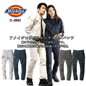 fBbL[Y [NEFA J[Spc D-2885 Dickies Xgb` y pc  Y fB[X t H~ N ƕ ƒ  H 