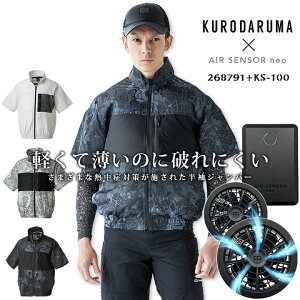 y5%OFFN[|11/1zyz󒲕 t@t  obe[t@tZbg KS-100 GAZT[ N_} 268791 MǑ΍