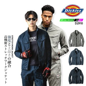 fBbL[Y ƕ Xgb` Wo[ [NEFA w{[ u] D-2910 Dickies Xgb` u] WPbg  Y fB[X ƕ ƒ  H 