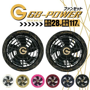 yz󒲕pi28Vp t@Zbgj28V GB-POWER GF1 15ۏ 󒲃EFA t@Pi t@tEFAΉ EFEFA t ƕ ƒ MǑ΍ MWp