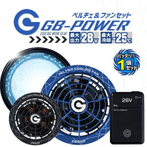 �y���������z�󒲕��p �y���`�F �t�@�� ��̌^�i28V��p �y���`�F�t�@�����o�b�e���[�Z�b�g�jGP980 GB428 GB-POWER 15�����ۏ� �₽�� ������ �}�C�i�X25�� ��p�v���[�g �󒲃E�F�A �t�@���t���E