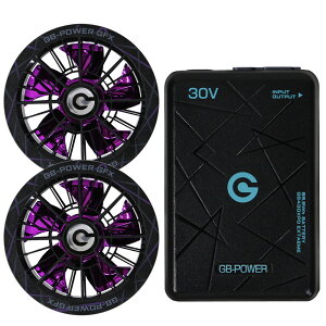 �y���������z���M�W���p�� �󒲕��p�i30V��p �t�@�����o�b�e���[�Z�b�g GB-POWER GB430XPD GFXS ����J���[�t�@�����f�� �y15�P�������O�ۏ؁z �}���[�d �󒲃E�F�A �t�@���t���E�F�A�Ή� EF�E�F