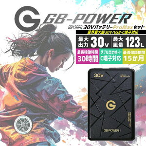 �y���������z���M�W���p�� 30V �󒲕��p �i30V��p �o�b�e���[�Z�b�g�jGB-POWER GB430PD �o�b�e���[ PROMAX �o�b�e���[ ���T�C�N���� ���`�E���d�r C�[�q�Ή� PC�[�d�\ 15�����ۏ� �t�@���t���E�F�A