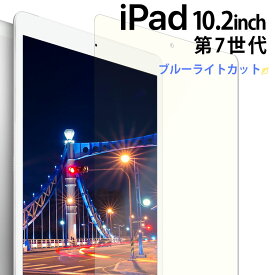 iPad 10.2 フィルム ブルーライトカット PET フィルム 画面 液晶 保護フィルム 薄い 選べるフィルム 透明 クリア 10.2インチ 第7世代 アップル