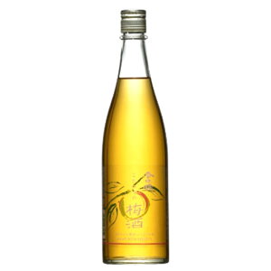 Z ̔~ 720ml / ߎ EV plum