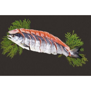 [1073]kCY Vp Q3-5WΕ Ε Mtg 蕨  A j  Ԃ j v[g Zbg lߍ킹 lC    J^O ~ 2025N