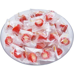 [1083]䕃ACXl S-50DΕ Ε Mtg 蕨  A j  Ԃ j v[g Zbg lߍ킹 lC    J^O ~ 2025N