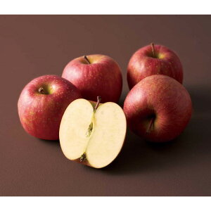 [508]R`Y Tӂ B12-2Ε Ε Mtg 蕨  A j  Ԃ j v[g Zbg lߍ킹 lC    J^O ~ 2025N