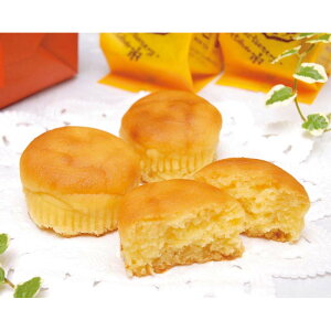 [557]Ƃ肦s ȂƋXC[g|eg A20-5Ε Ε Mtg 蕨  A j  Ԃ j v[g Zbg lߍ킹 lC    J^O 