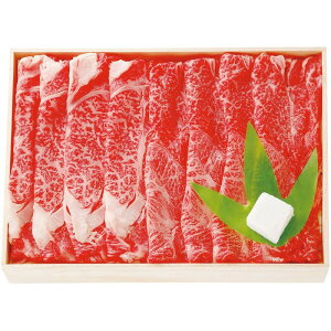 [586]đ Ăp Q5-35Ε Ε Mtg 蕨  A j  Ԃ j v[g Zbg lߍ킹 lC    J^O ~ 2025N