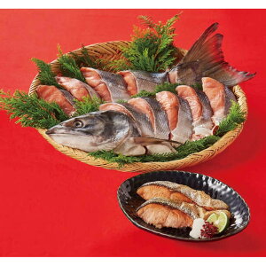 [596]kCY Vp P3-10Ε Ε Mtg 蕨  A j  Ԃ j v[g Zbg lߍ킹 lC    J^O ~ 2025N