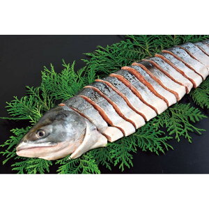 [599]CY g NOAK-80Ε Ε Mtg 蕨  A j  Ԃ j v[g Zbg lߍ킹 lC    J^O ~ 2025N