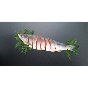 [600]mY Vg P3-11TΕ Ε Mtg 蕨  A j  Ԃ j v[g Zbg lߍ킹 lC    J^O ~ 2025N