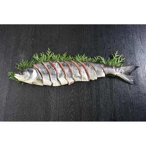 [604]kCY ѐVg Y3-7Ε Ε Mtg 蕨  A j  Ԃ j v[g Zbg lߍ킹 lC    J^O ~ 2025N