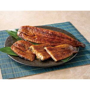 [641]Vy Ȃ QN2250Ε Ε Mtg 蕨  A j  Ԃ j v[g Zbg lߍ킹 lC    J^O ~ 2025N