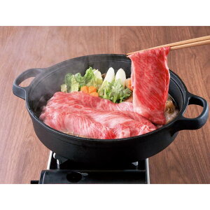 [665]㋍ Ăp P5-54Ε Ε Mtg 蕨  A j  Ԃ j v[g Zbg lߍ킹 lC    J^O ~ 2025N