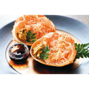 [720]kCY IIYCIb B1-4BΕ Ε Mtg 蕨  A j  Ԃ j v[g Zbg lߍ킹 lC    J^O ~ 2025