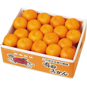 [756]a̎RY Lc݂ G13-2BΕ Ε Mtg 蕨  A j  Ԃ j v[g Zbg lߍ킹 lC    J^O ~ 2025N