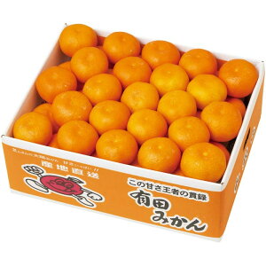 [757]a̎RY Lc݂ B13-1BΕ Ε Mtg 蕨  A j  Ԃ j v[g Zbg lߍ킹 lC    J^O ~ 2025N