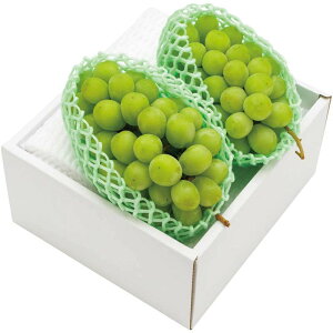 [774]R`Y VC}XJbg B15-7Ε Ε Mtg 蕨  A j  Ԃ j v[g Zbg lߍ킹 lC    J^O ~ 2025N