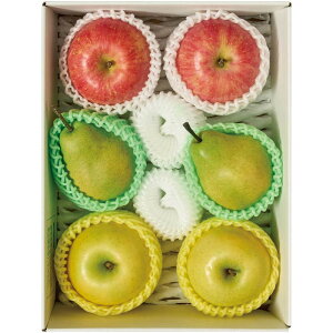 [775]R`Y 3̉ʎl A15-12BΕ Ε Mtg 蕨  A j  Ԃ j v[g Zbg lߍ킹 lC    J^O ~ 2025N