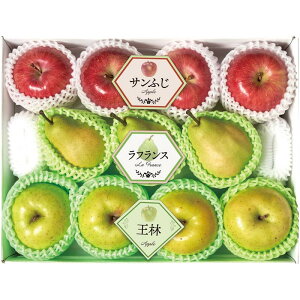 [777]~̉ʎ3l Y14-16AΕ Ε Mtg 蕨  A j  Ԃ j v[g Zbg lߍ킹 lC    J^O ~ 2025N