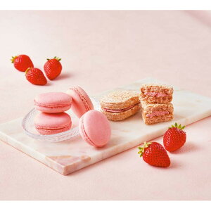 [793]]EhEt[Y ܂䕂̏ĉَqoGeB MF-MD15Ε Ε Mtg 蕨  A j  Ԃ j v[g Zbg lߍ킹 lC   