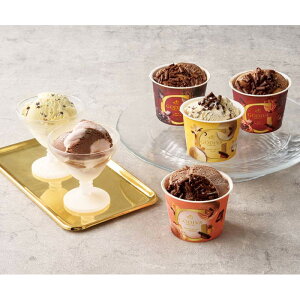 [810]uSfBovACXRNV GCS-501Ε Ε Mtg 蕨  A j  Ԃ j v[g Zbg lߍ킹 lC    J^O ~ 20