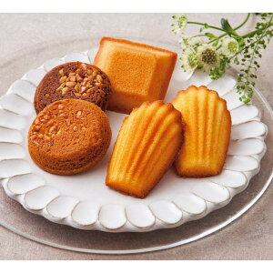 [829]ut@Ng[VvGNZgNVbN EX-C20Ε Ε Mtg 蕨  A j  Ԃ j v[g Zbg lߍ킹 lC    