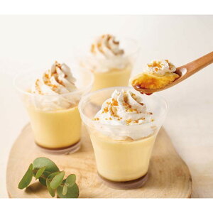 [886]JAӂ xǖȂ߂炩Ղ JAF-P6Ε Ε Mtg 蕨  A j  Ԃ j v[g Zbg lߍ킹 lC    J^O ~ 2025