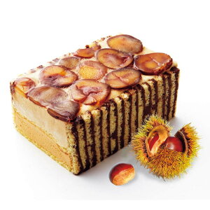 [888]uِS JvI߂i[Xj KT-21804Ε Ε Mtg 蕨  A j  Ԃ j v[g Zbg lߍ킹 lC    J^