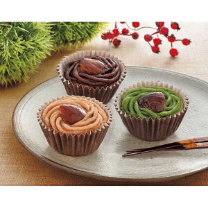 [898]su{VvaȈĂu YJ-SCM12Ε Ε Mtg 蕨  A j  Ԃ j v[g Zbg lߍ킹 lC    J^