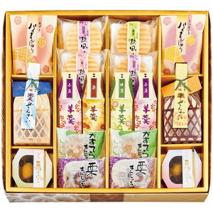 [907]nًÂ ₫ KG-30Ε Ε Mtg 蕨  A j  Ԃ j v[g Zbg lߍ킹 lC    J^O ~ 2025N