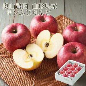 y75535zR_ R`Y Tӂ SY-3B@ 2026   I[hu VN