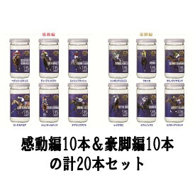 【各10本ずつ20本セット】【感動編10本】【豪脚編10本】G-One Cup 第2弾！大関 上撰ワンカップ 180ml 20本セット 180mlx20 日本酒/清酒/灘酒/西宮/sake/ozeki/ワンカップ大関/G1レース/競馬/ドリームレース/名馬/名場面/優勝馬/秋のG1レース