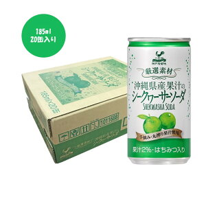 _ˋn IfމꌧYʏ`̃V[N[T[\[_ 185ml 20ʓ 1P[X