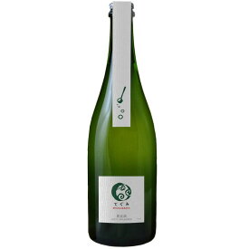 丹波ワイン てぐみ 750ml 日本ワイン 国産ワイン 泡 スパークリングワイン 京都 酸化防止剤無添加