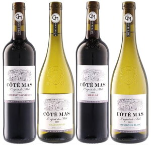 y(kCE͕ʓr)Izh[k |[ }X R[e}X ԁEݔ 4{Zbg 750ml×4 / ԃC C tXC OhbN IbNiN[ʓrvj