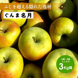 【1月31日まで10%オフクーポン配布中】発送中！マツコDXさんがテレビで絶賛！「ぐんま名月3キロ箱A品B品」農林水産大臣賞 りんご 長野県産 安曇野 信州産 産地直送 3キロ 箱使用 果物 フルーツ 鮮度抜群 超希少品種 味抜群