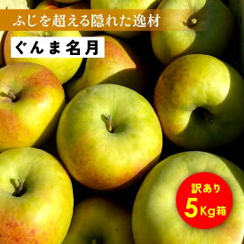 【LINE友達 限定300円クーポン】11月4日から発送開始 マツコDXさんがテレビで絶賛！「ぐんま名月5キロ箱訳あり品」農林水産大臣賞 りんご 長野県産 安曇野 信州産 産地直送 送料無料 5キロ 箱使用 果物 フルーツ 鮮度抜群 超希少品種 味抜群