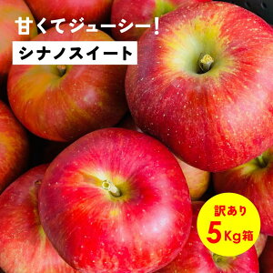 【5%オフクーポン配布中10月31日まで】10月15日から発送「シナノスイート5キロ箱訳あり品」リンゴ三兄弟 農林水産大臣賞 りんご 長野県産 安曇野 信州産 産地直送 送料無料 5キロ 箱使用 果物