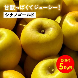 【LINE友達 限定300円クーポン】10月21日から発送開始 「シナノゴールド5キロ箱訳あり品」上品な酸味 農林水産大臣賞 りんご 長野県産 安曇野 信州産 産地直送 送料無料 5キロ 箱使用 果物 フルーツ 鮮度抜群 超希少品種