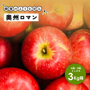 【5%オフクーポン配布中10月31日まで】他のりんごより高いです!蜂蜜のような甘み「奥州ロマン3キロ箱A品B品」 農林水産大臣賞 りんご 長野県産 安曇野 信州産 産地直送 送料無料 3キロ 箱使
